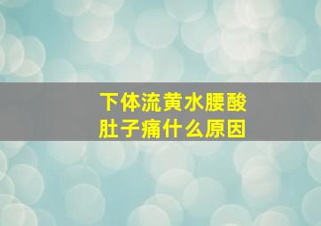 下体流黄水腰酸肚子痛什么原因