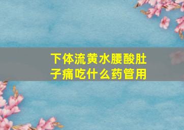 下体流黄水腰酸肚子痛吃什么药管用