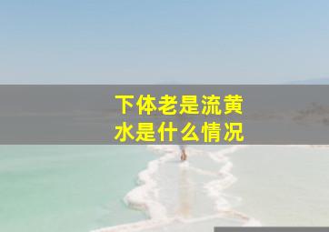 下体老是流黄水是什么情况