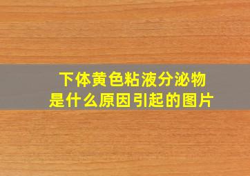 下体黄色粘液分泌物是什么原因引起的图片