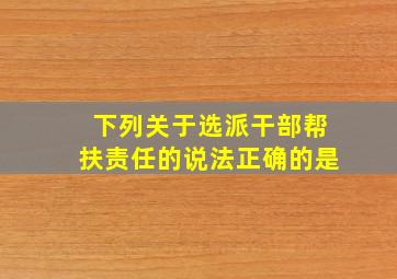 下列关于选派干部帮扶责任的说法正确的是