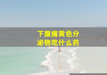 下腹痛黄色分泌物吃什么药