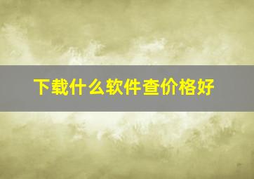 下载什么软件查价格好