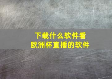 下载什么软件看欧洲杯直播的软件