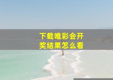 下载唯彩会开奖结果怎么看