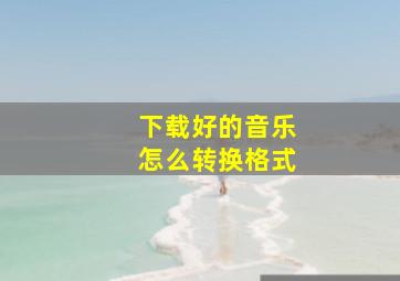 下载好的音乐怎么转换格式