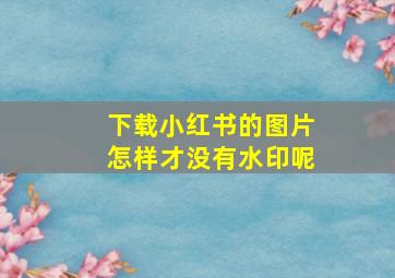 下载小红书的图片怎样才没有水印呢