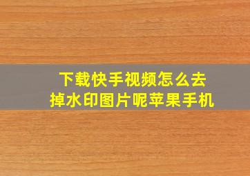 下载快手视频怎么去掉水印图片呢苹果手机