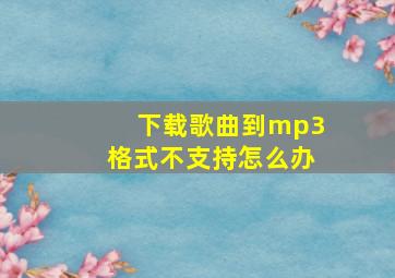 下载歌曲到mp3格式不支持怎么办