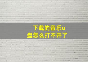 下载的音乐u盘怎么打不开了