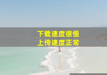 下载速度很慢上传速度正常