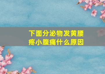 下面分泌物发黄腰疼小腹痛什么原因