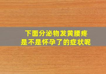 下面分泌物发黄腰疼是不是怀孕了的症状呢