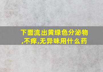 下面流出黄绿色分泌物,不痒,无异味用什么药