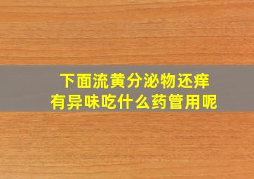 下面流黄分泌物还痒有异味吃什么药管用呢