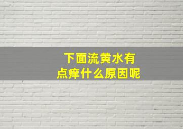 下面流黄水有点痒什么原因呢