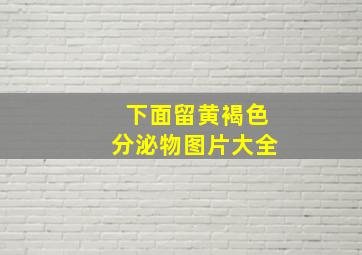 下面留黄褐色分泌物图片大全