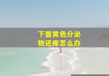 下面黄色分泌物还痒怎么办