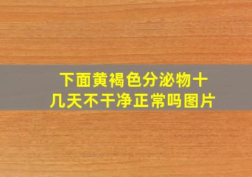 下面黄褐色分泌物十几天不干净正常吗图片