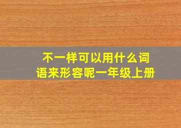 不一样可以用什么词语来形容呢一年级上册