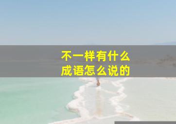 不一样有什么成语怎么说的