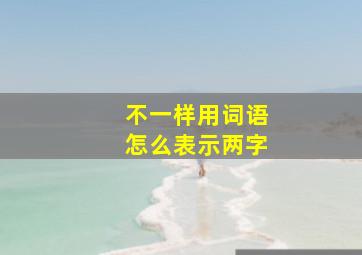 不一样用词语怎么表示两字