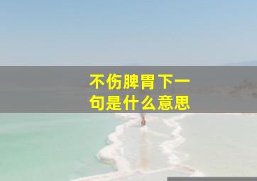 不伤脾胃下一句是什么意思