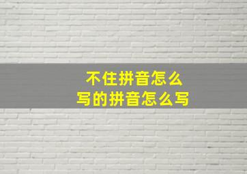 不住拼音怎么写的拼音怎么写