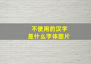 不使用的汉字是什么字体图片