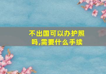 不出国可以办护照吗,需要什么手续