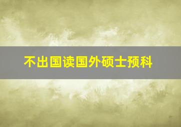 不出国读国外硕士预科