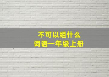 不可以组什么词语一年级上册