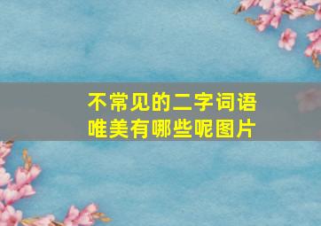 不常见的二字词语唯美有哪些呢图片