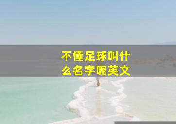 不懂足球叫什么名字呢英文