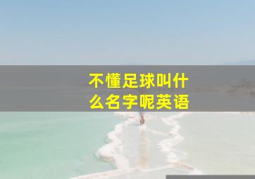 不懂足球叫什么名字呢英语