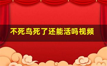 不死鸟死了还能活吗视频