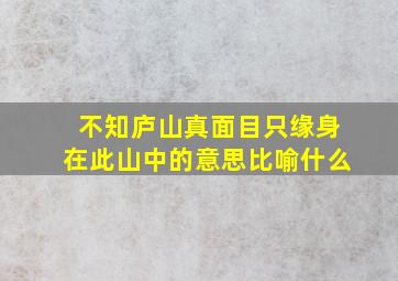 不知庐山真面目只缘身在此山中的意思比喻什么