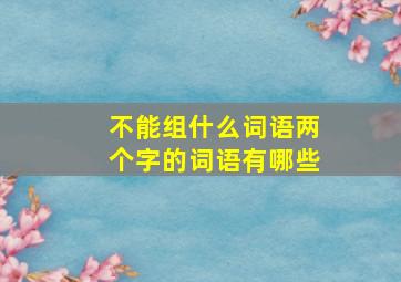 不能组什么词语两个字的词语有哪些