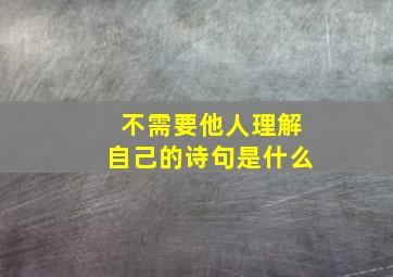 不需要他人理解自己的诗句是什么