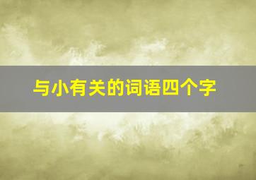 与小有关的词语四个字