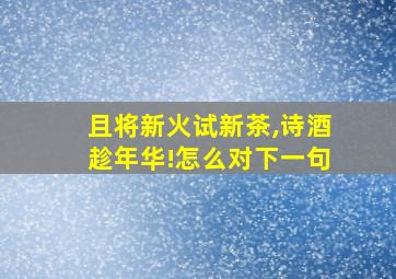 且将新火试新茶,诗酒趁年华!怎么对下一句