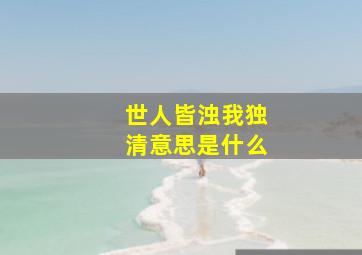 世人皆浊我独清意思是什么