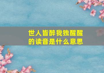 世人皆醉我独醒醒的读音是什么意思