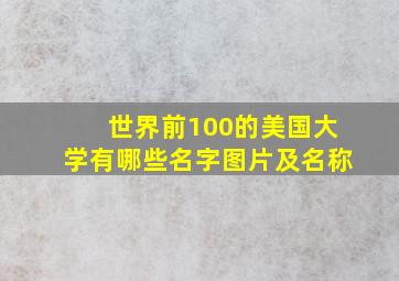 世界前100的美国大学有哪些名字图片及名称