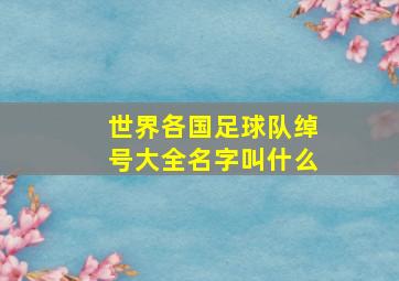 世界各国足球队绰号大全名字叫什么