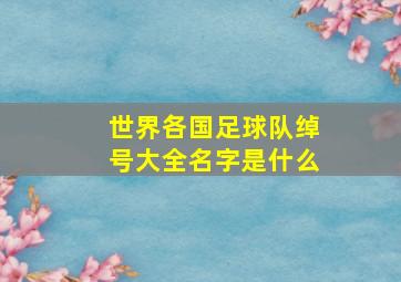 世界各国足球队绰号大全名字是什么