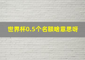 世界杯0.5个名额啥意思呀