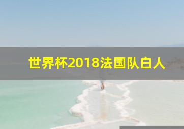 世界杯2018法国队白人