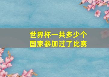 世界杯一共多少个国家参加过了比赛