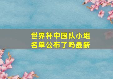 世界杯中国队小组名单公布了吗最新